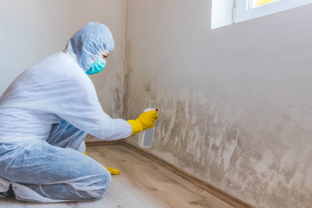 Licensed Commercial Mold Remediation service in Glendale, CO - WQB Mold Removal