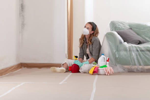 Reliable Commercial Mold Remediation contractor in Glendale, CO by WQB Mold Removal